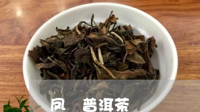 凤 普洱茶/2023090516836